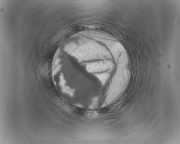 X0000070410519200607072312