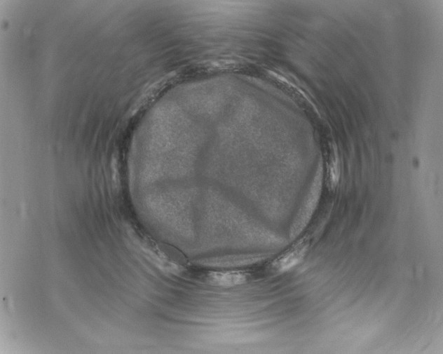 X0000070410520200607072312