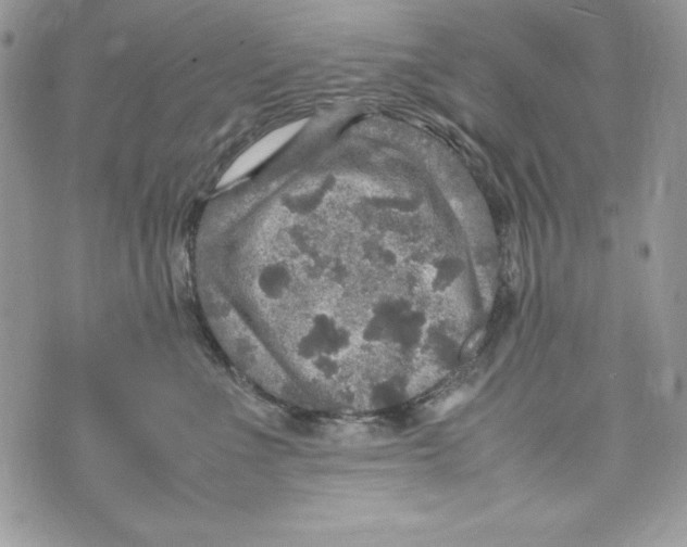 X0000070410523200607072312