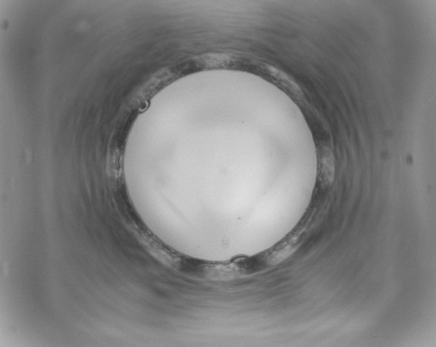 X0000070410525200607072312