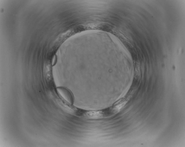 X0000070410526200607072312