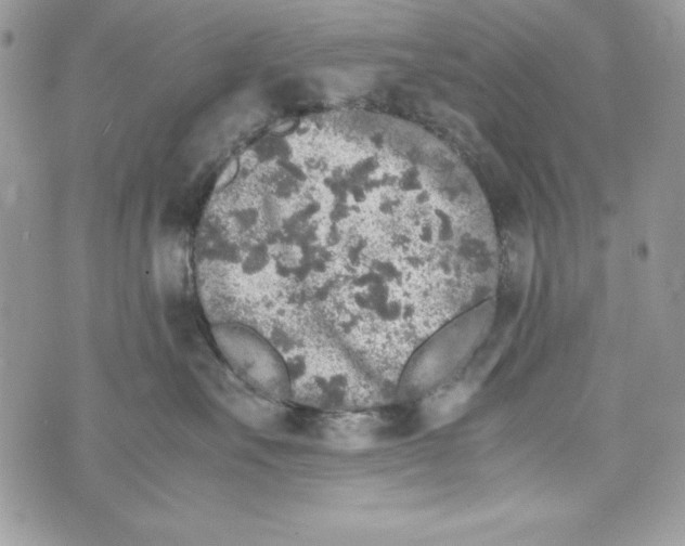 X0000070410527200607072312