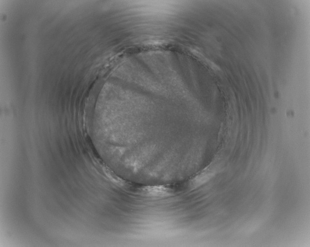 X0000070410528200607072312