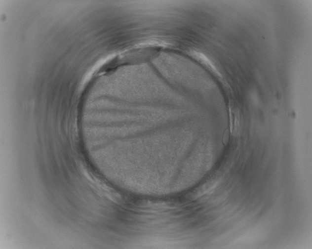 X0000070410531200607072311