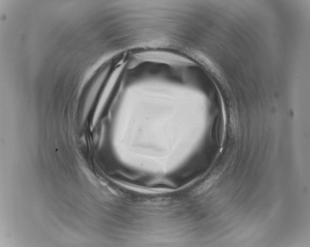 X0000070410532200607072311