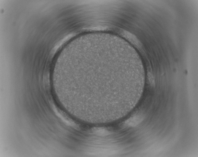 X0000070410534200607072311