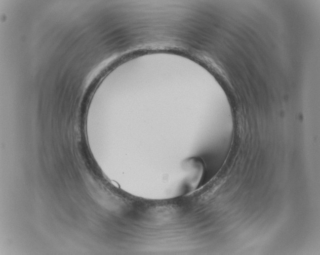 X0000070410536200607072311