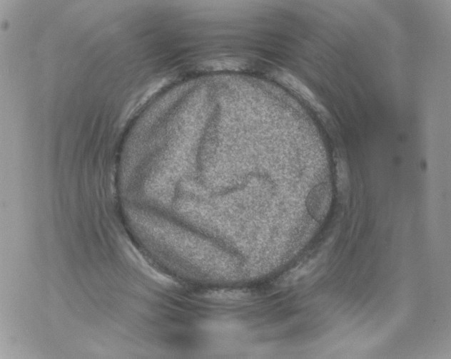 X0000070410537200607072311