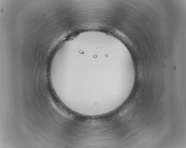 X0000070410538200607072311