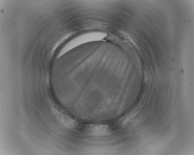 X0000070410539200607072311