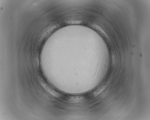 X0000070410541200607072311