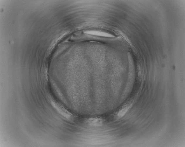 X0000070410542200607072311