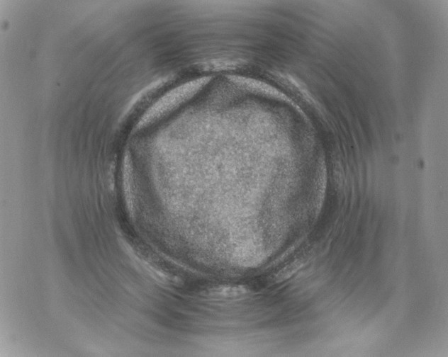 X0000070410543200607072312