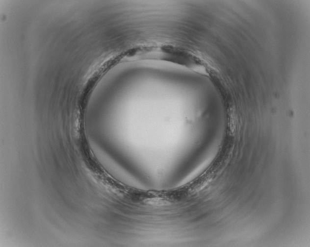 X0000070410544200607072312