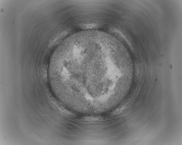 X0000070410545200607072312