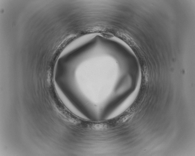 X0000070410546200607072312