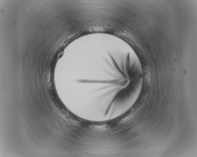 X0000070410548200607072312