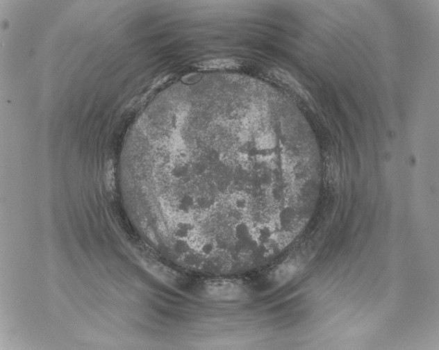 X0000070410549200607072312