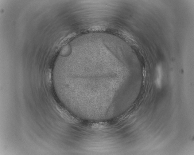 X0000070410550200607072312