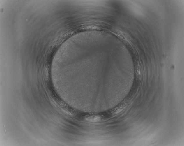 X0000070410551200607072312