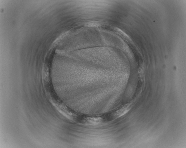 X0000070410552200607072312