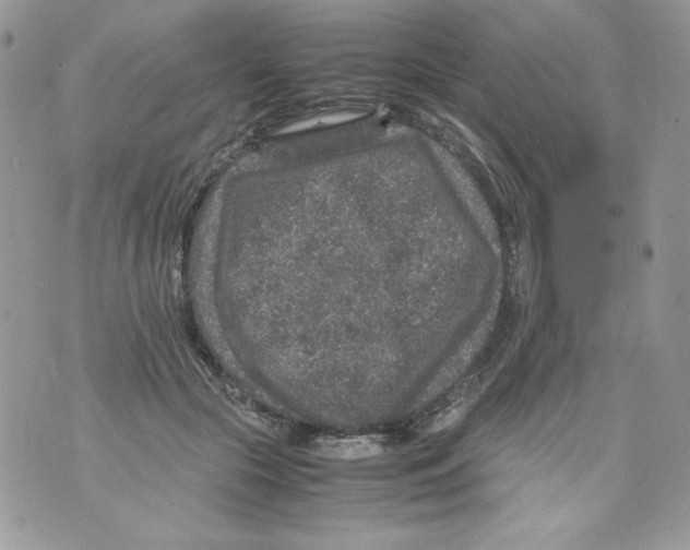 X0000070410553200607072312