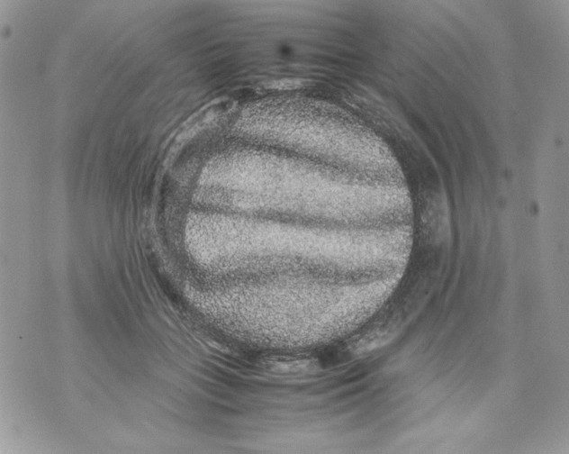 X0000070410555200607072312