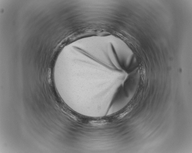 X0000070410556200607072312