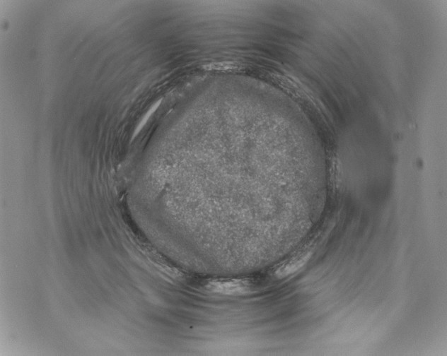 X0000070410557200607072312