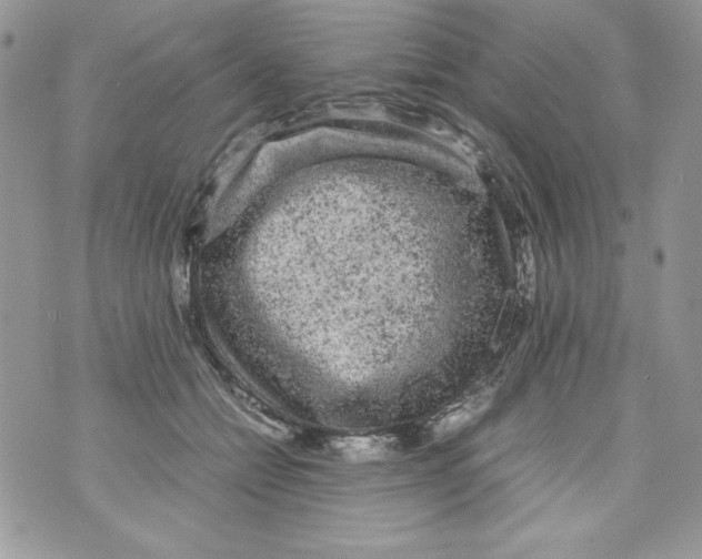 X0000070410558200607072312