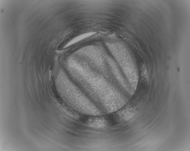 X0000070410559200607072312