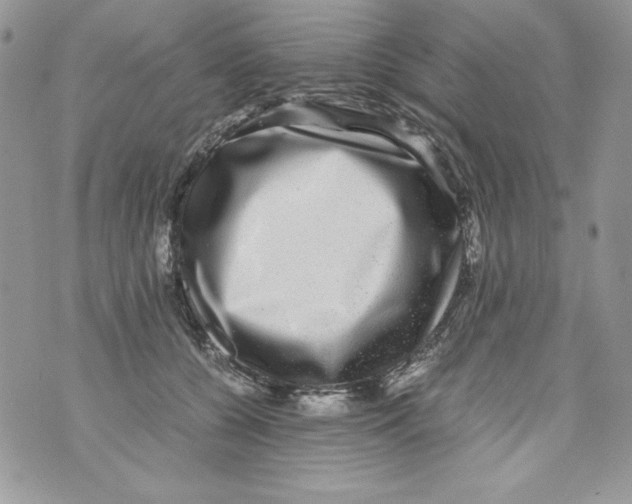 X0000070410560200607072312