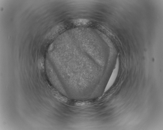 X0000070410561200607072312