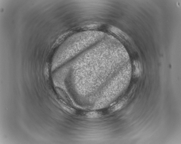 X0000070410562200607072312