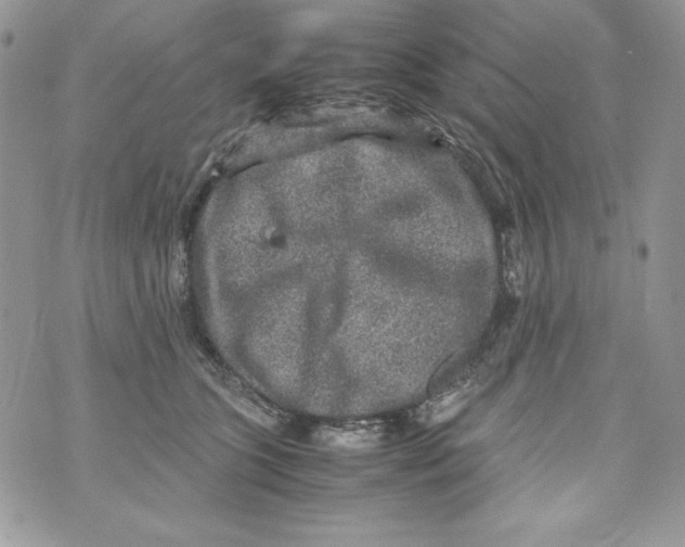 X0000070410563200607072312