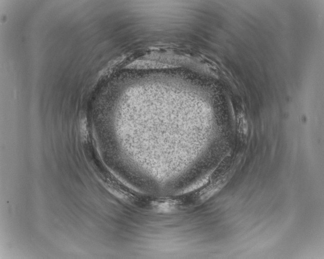 X0000070410564200607072312