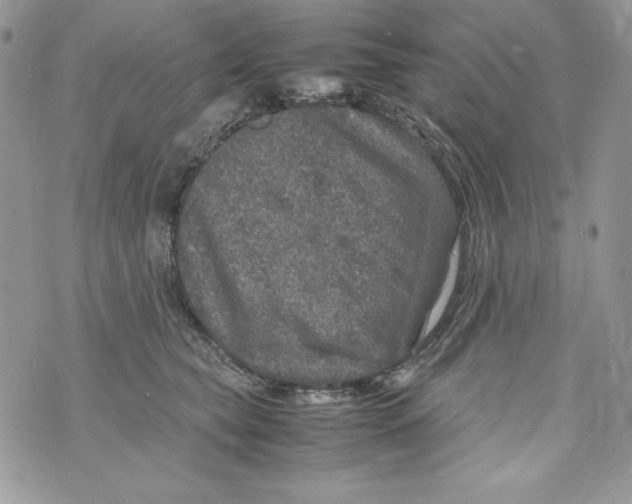 X0000070410565200607072312