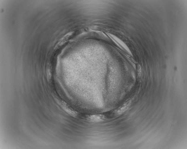 X0000070410566200607072312