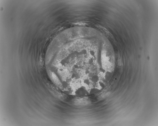 X0000070410569200607072312