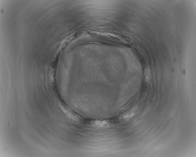 X0000070410570200607072312