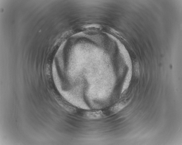 X0000070410571200607072312