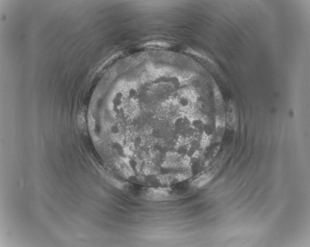 X0000070410573200607072312