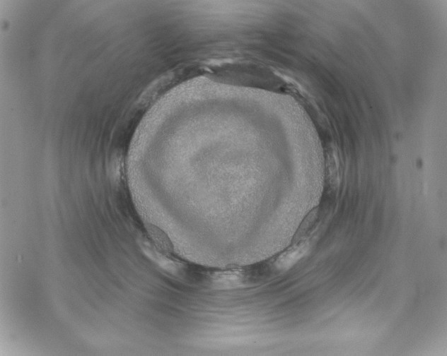 X0000070410574200607072312