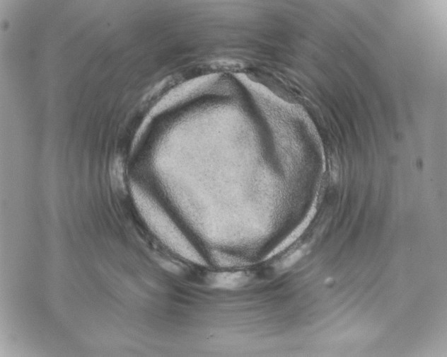 X0000070410575200607072312