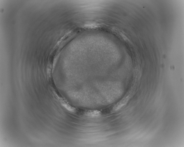 X0000070410576200607072312