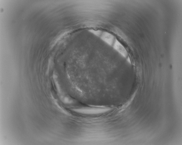 X0000070410577200607072311