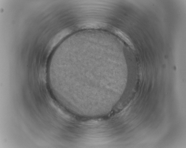 X0000070410578200607072311