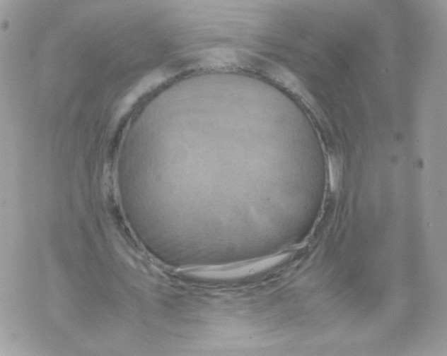 X0000070410579200607072311