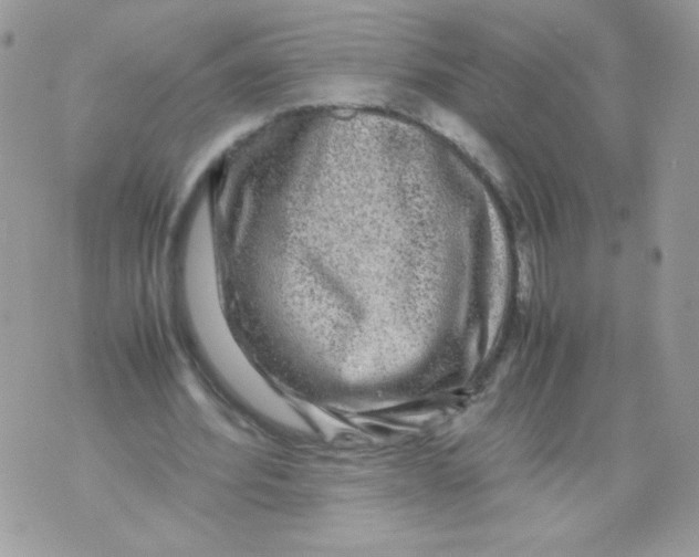 X0000070410580200607072311