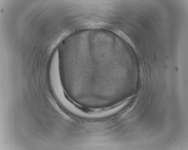 X0000070410581200607072311